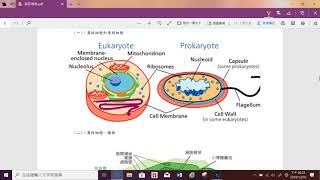 【高見公職歷屆解題】警大鑑識所自然科學之生物考古題分析