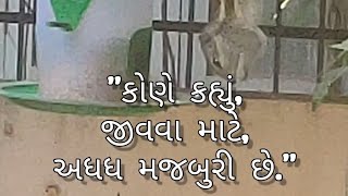 કોણે કહ્યું જીવવા માટે અધધ મજબુરી છે.|Dr. Himanshu Shah. Himuraja|Jhuvas art studio|Sher shayari and