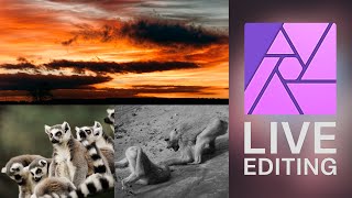 Affinity Photo LIVE: Photography Editing