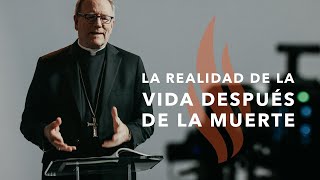 La Realidad de la Vida Después de la Muerte - Sermón del Domingo del obispo Robert Barron