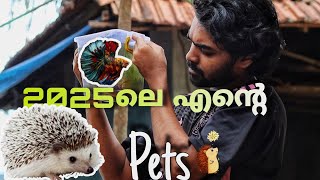 2025ലെ  എന്റെ pets🐶🐟