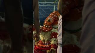 💢 പുലികണ്ഠൻ വെള്ളാട്ടം🥰 |pulikandan|#trending #theyyam #shorts