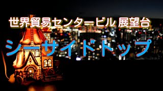 【クリスマスの予定に迷ったら】世界貿易センタービル★40F展望台シーサイド・トップ