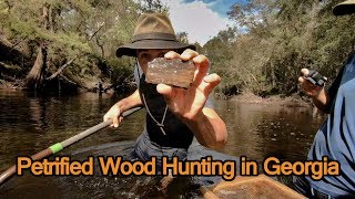 Fossil Hunting for Petrified Wood in Georgia | Digging and Sifting for Prehistoric Treasures