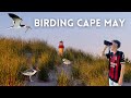 Birding Cape May