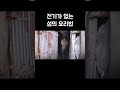 휴대용 전등에 의지해 요리하는 아내 shorts