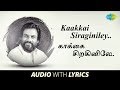 Kaakki Siraginiley with Lyrics | K.J. Yesudas, Subramania Bharati, Raghuvaran | HD Song | Tamil