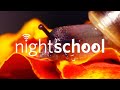 NightSchool: Snails of Land and Sea