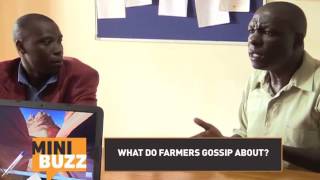 Zzizinga's Moment | Zzizinga the farmer plays tricks   | Minibuzz Uganda