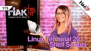How to Write a Shell Script: Linux Terminal 201 - HakTip 175