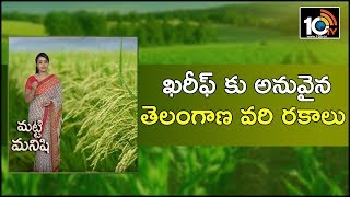 ఖరీఫ్ కు అనువైన తెలంగాణ వరి రకాలు | Paddy Crop Cultivation Methods in Kharif Season | 10TV News