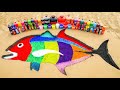 How to make Rainbow Giant Trevally Fish with Orbeez, Big Fanta, Coca-Cola vs Mentos & Popular Sodas