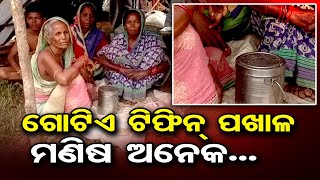 ଗୋଟିଏ ଟିଫିନ୍ ପଖାଳମଣିଷ ଅନେକ ....| Odisha Reporter