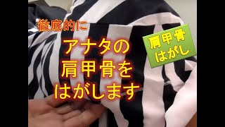 【肩甲骨はがし】徹底的にアナタの肩甲骨はがします【横浜・菊名の整体院一宇～ITIU～】