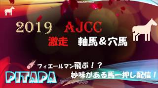 2019　AJCC　予想と傾向  まとめ  必勝法