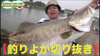 悲鳴を上げるリール!?大物か!?【釣りよか切り抜き】