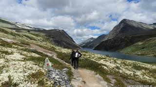 Park Narodowy Rondane 2017