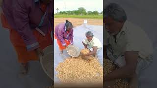 #ஷாட்ஸ் தமிழ் விவசாயம் 🌾 காப்போம் 🌾