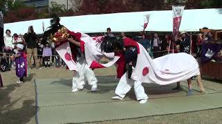 一宮中筋獅子組　獅子舞王国さぬき2018