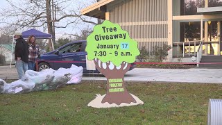 Louisiana Forestry Association celebrates Arbor Day with a tree giveaway