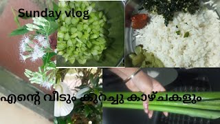 sunday special vlog /malayalam / ഞാൻ എന്റെ വീട്ടിൽ പോയ ഒരു ദിവസം /@Alanyathumbi2021