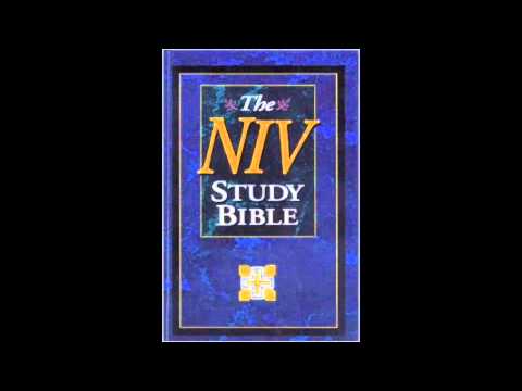 The Book Of Daniel (NIV Audio Bible Non Dramatized) - YouTube