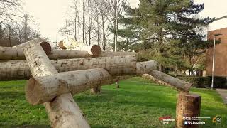 Outdoor construction of a reciprocal timber structure (UCLouvain, Belgium)