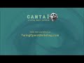 cantai ai operatic u0026 musical theater vst audiounit