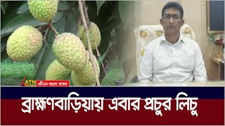 ব্রাহ্মণবাড়িয়ায় এবার লক্ষ্যমাত্রার চেয়ে বেশি ২৭ শো ৮০ মেট্রিক টন লিচু উৎপাদনের আশা চাষীদের।