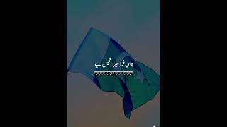 Pakistan Zindabad 🇵🇰 | 14th August Whatsapp Status | 2022 Pakistan Independence Status | 14 August