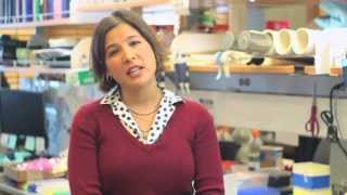 What Is Synthetic Biology