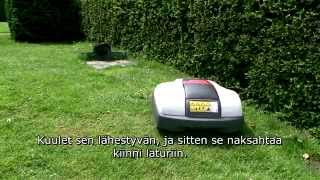 Honda Miimo -robottileikkuri