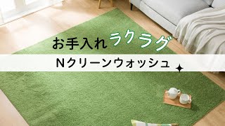 ほこり・花粉が取れやすい！洗えるラグ