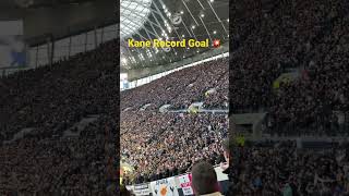 Harry Kane Scores Record Goal! Fans Celebrate! Spurs v Man City #spurs #tottenham #tottenhamhotspur