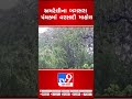 અમરેલીના બગસરા પંથકમાં વરસાદી માહોલ gujarat rain tv9gujaratinews