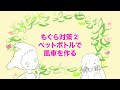 【もぐら出現】バラの根っこの危機！？必死のもぐら対策で、意外と効いた方法。