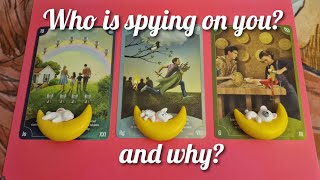 🔮 Who is spying on you? & Why? 🔮 pick a card tarot, timeless ✨️