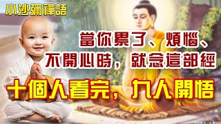 金剛經：當你累了、煩惱、不開心時，請修好這八顆「心」！十人看完九人開悟#金剛經#開悟#禪語 #修心修行 #禪悟人生 #人生智慧 #小沙彌禪語