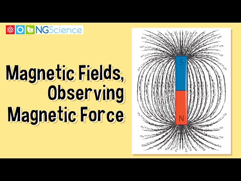 What is the conclusion of magnetic lines of force?