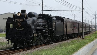 25年振りの旧客！！ 秩父鉄道 C58-363+旧客4両 SLパレオエクスプレス 石原〜ひろせ野鳥の森通過2