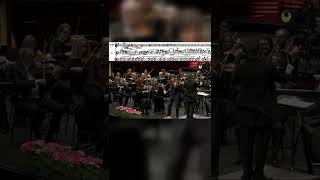Sibelius: Violin Concerto – With Augustin Hadelich #shorts