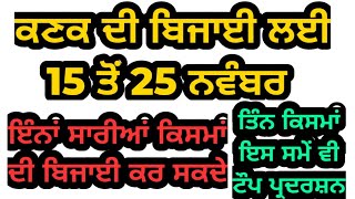 ਕਣਕ ਦੀਆਂ 15 ਨਵੰਬਰ ਤੋਂ 25 ਨਵੰਬਰ ਬਿਜਾਈ ਲਈ ਵਧੀਆ ਕਿਸਮਾਂ | Wheat varieties sown from 15 to 25 November