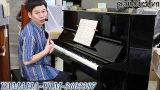 Pianoart giới thiệu đàn piano YAMAHA U1M - 3603387