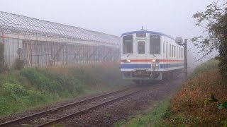 関東鉄道常総線　心の旅路　霧の大宝の丘　キハ5001号取手行　弾丸ディーゼル　2014/11/10