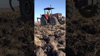 285t Massey Ferguson con subsuelo de 5 puntas