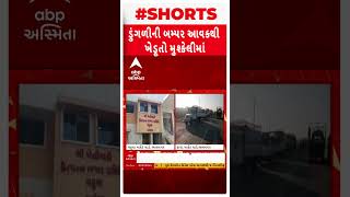 Onion News | સૌરાષ્ટ્રના માર્કેટિંગ યાર્ડમાં ડુંગળીની ભરપુર આવક, માર્કેટ બહાર ગાડીઓની લાઈન