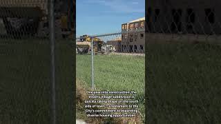 Vitality Village Update: July 2025
