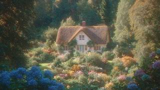 sorry, i was daydreaming of autumn (playlist)