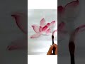 出水芙蓉 原创手绘 art chineseart paintingtutorial tutorial