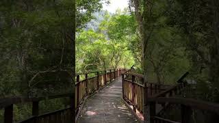 太魯閣國家公園布洛灣環流丘步道Buluowan Meander Core Trail Taroko National park,Taiwan